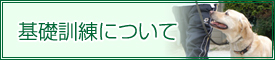基礎訓練について