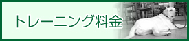 トレーニング料金