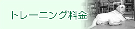 トレーニング料金