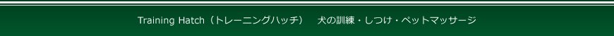 大阪・箕面　犬のしつけはトレーニングハッチ